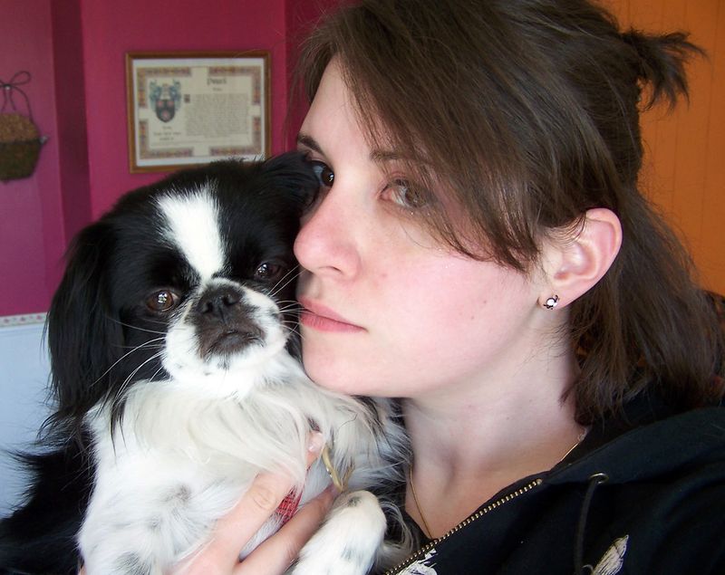 Japanese Chin