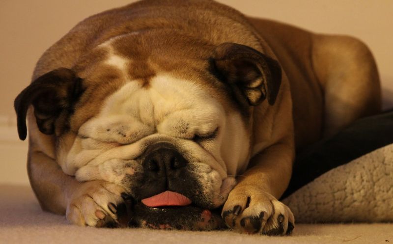 Sleep gets worse that night