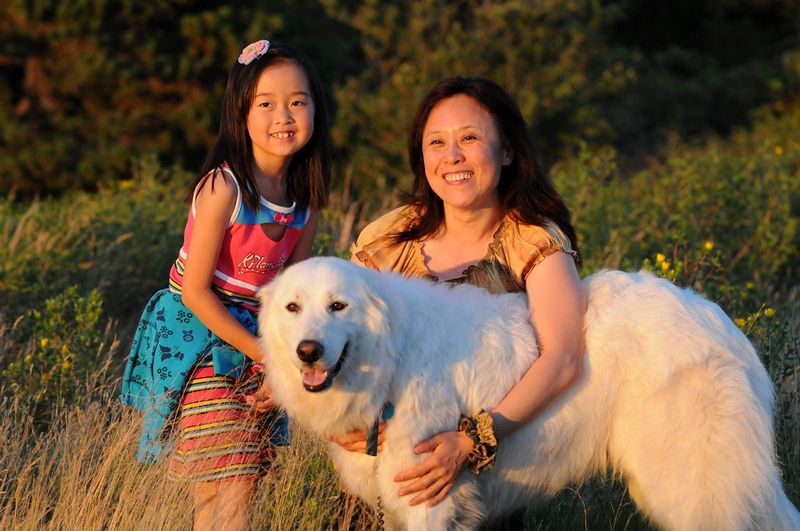 Great Pyrenees