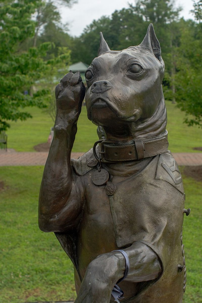 20 Famous Dogs Remembered for Bravery, Loyalty, and Service 2 Sergeant Stubby