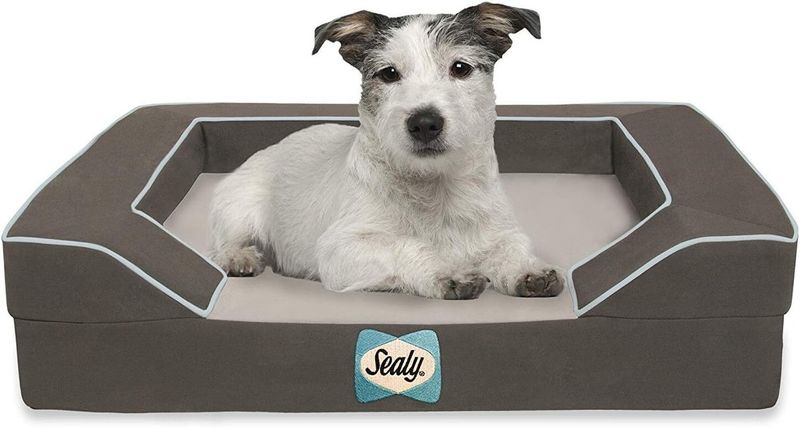 Sealy Lux Quad Layer Bed