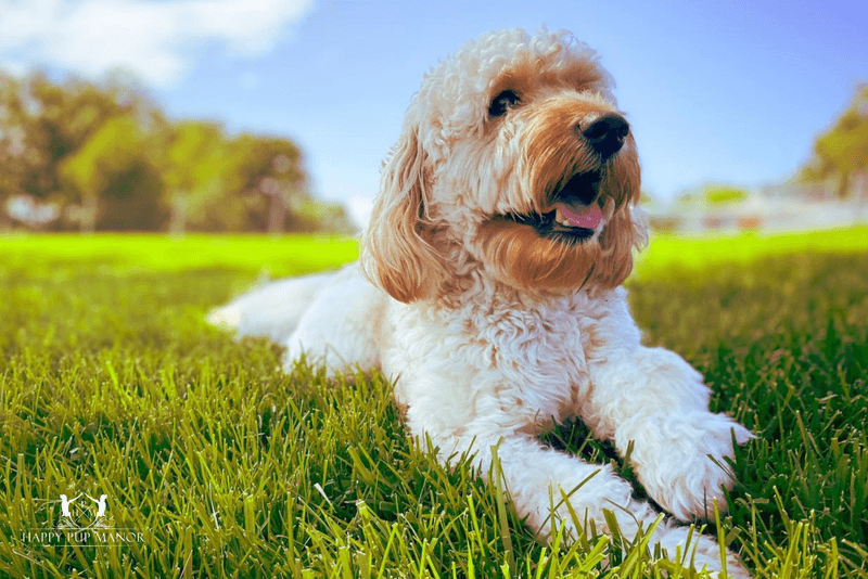 Stop Saying “He’s Just Reactive” - 10 Signs It’s Trigger Stacking (Not Random “Bad Behavior”) 7 Hard scanning and freezing