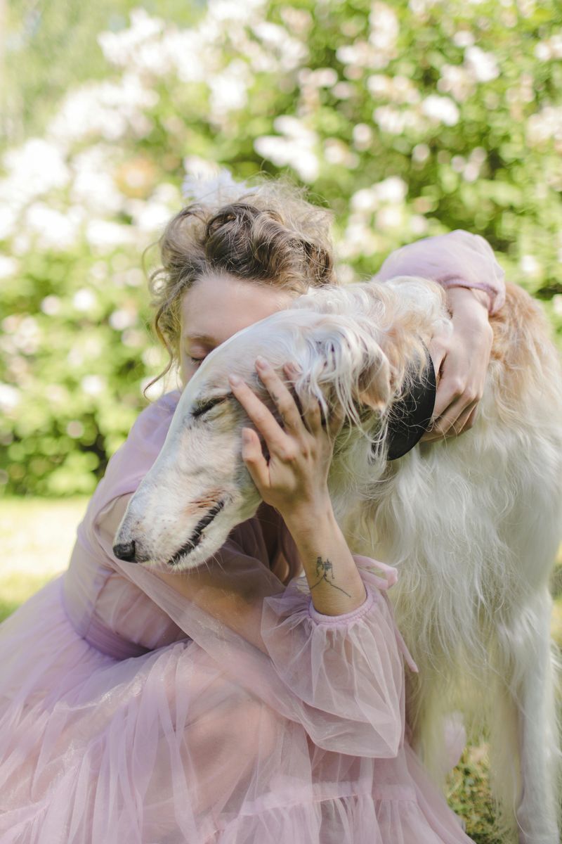 17 Chill Dog Breeds Perfect for Quiet, Relaxed Homes 12 Borzoi