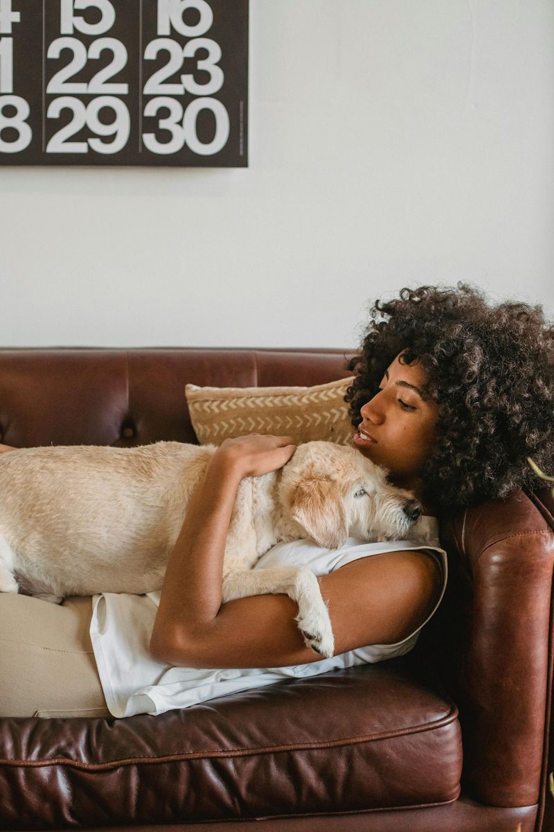 Your Dog Is Mentally Exhausted, Not Misbehaving