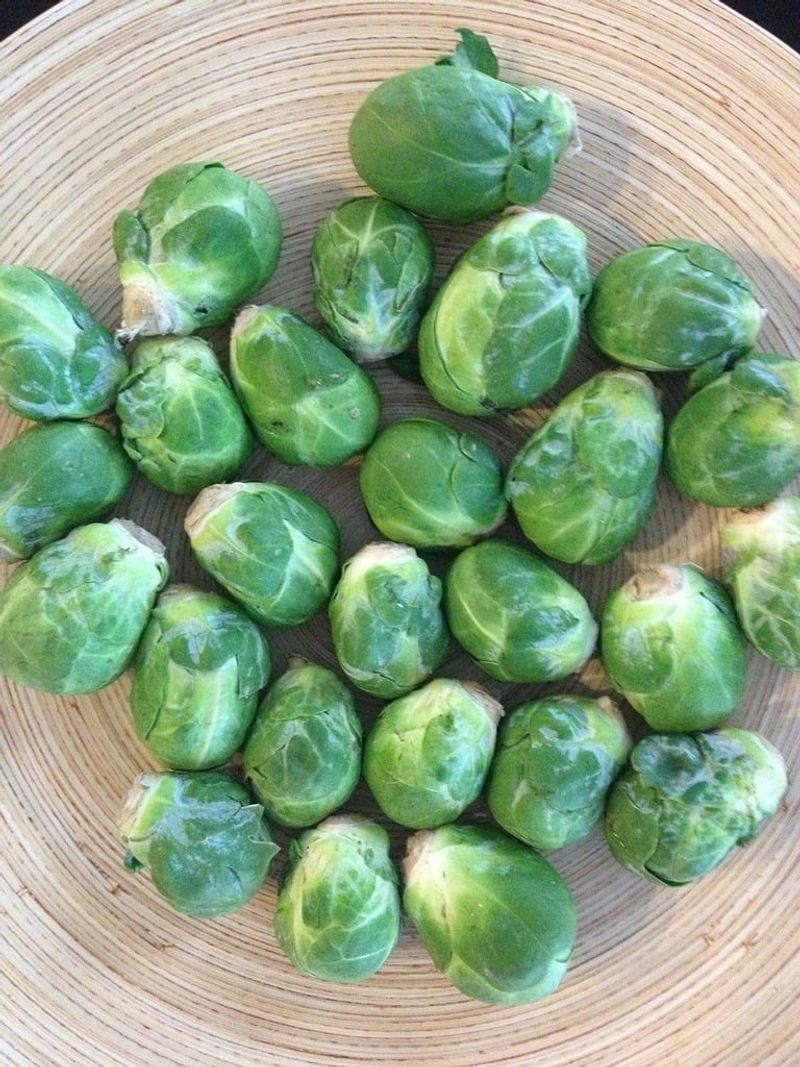 19 Safe and Nutritious Vegetables Dogs Can Enjoy 13 Brussels Sprouts