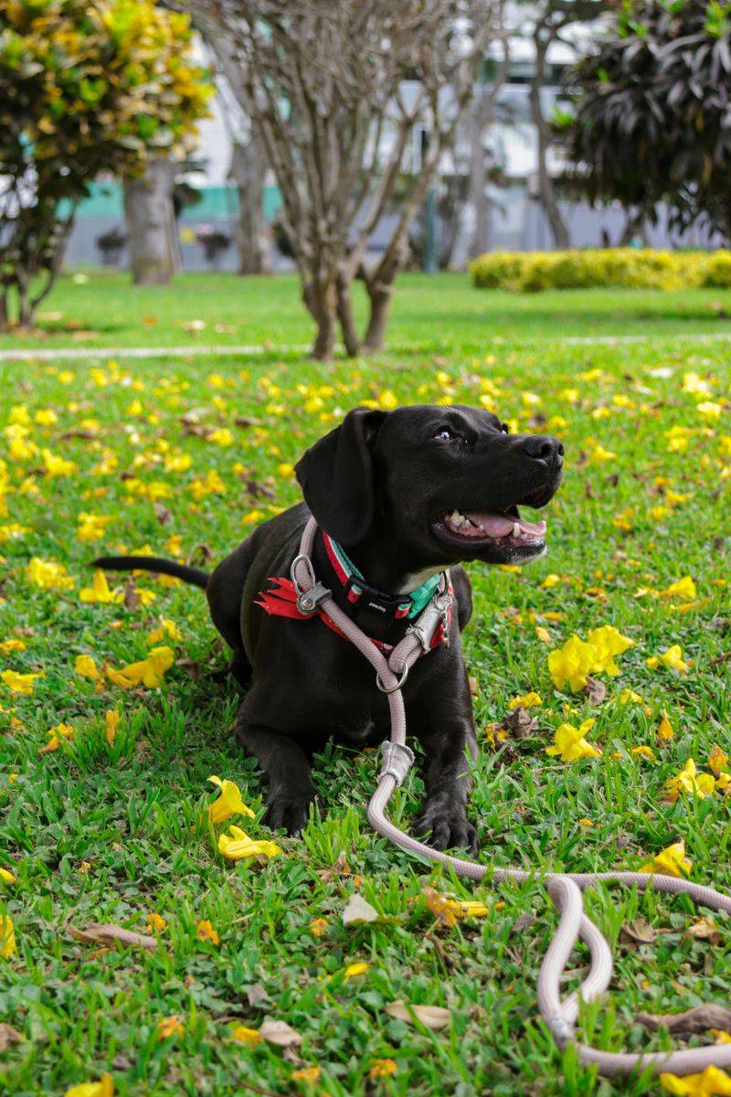 Don’t Compare Yourself to Others