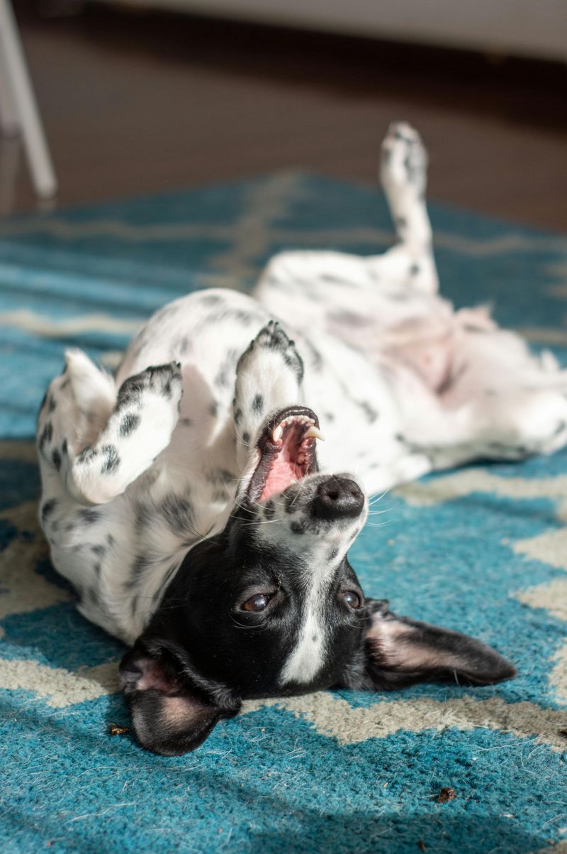 Relaxed body posture