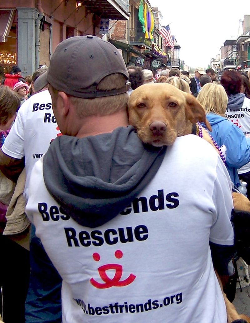 You become part of a rescue community