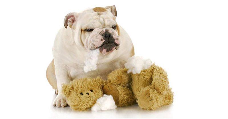 Loss of Bladder/Bowel Control