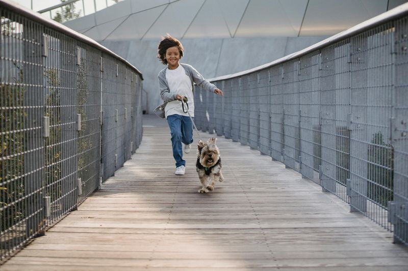 Running or Jogging with Your Dog