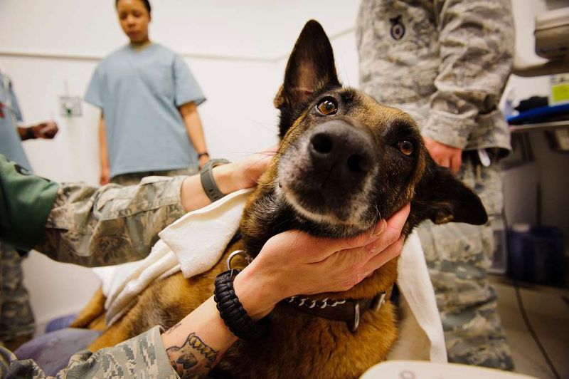 Disorientation or Confusion