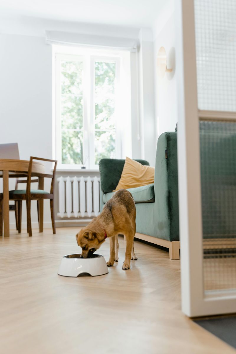 Maintain a consistent daily routine.