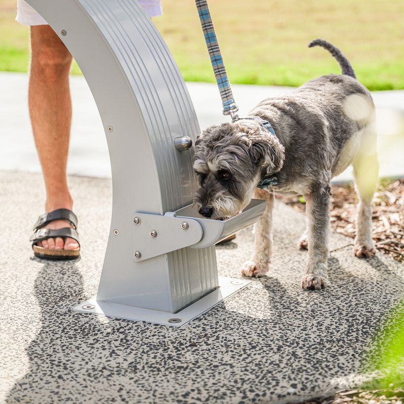 Dogs + Smart Homes Are Merging - 12 Features People Add Specifically for Pet Comfort 9 Leak-Proof Water Stations
