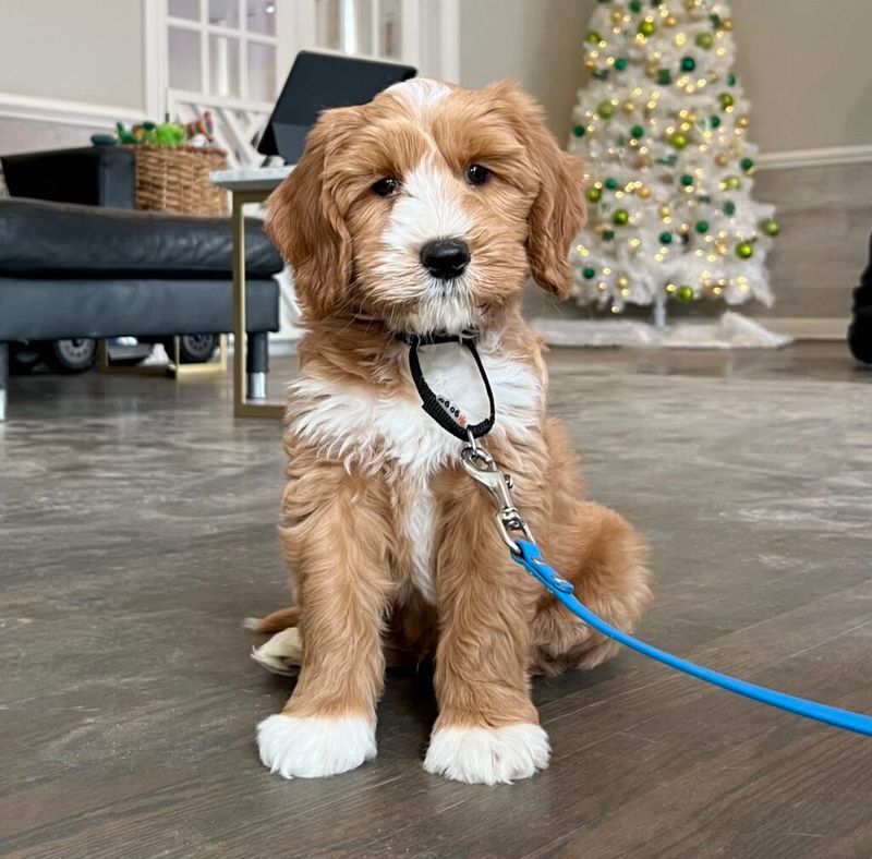 Not creating a daily routine