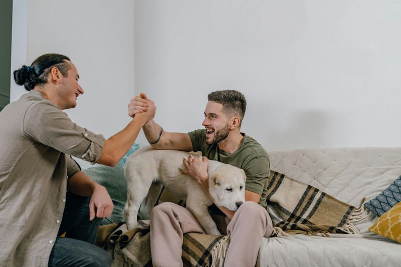 19 Meaningful Ways Dogs Help Improve Our Emotional Health 2 Lowering Blood Pressure Through Presence and Touch