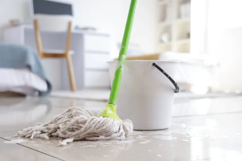 9 Scents Dogs Can’t Stand (And 5 They Absolutely Love) 9 Household Cleaners