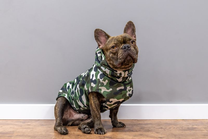 Urban Camouflage Jacket