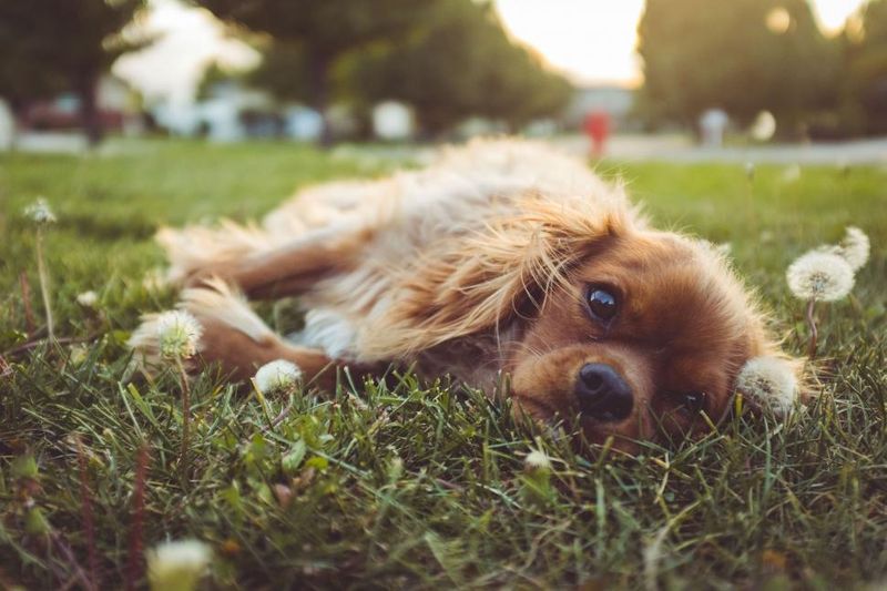 Relaxing completely in your presence