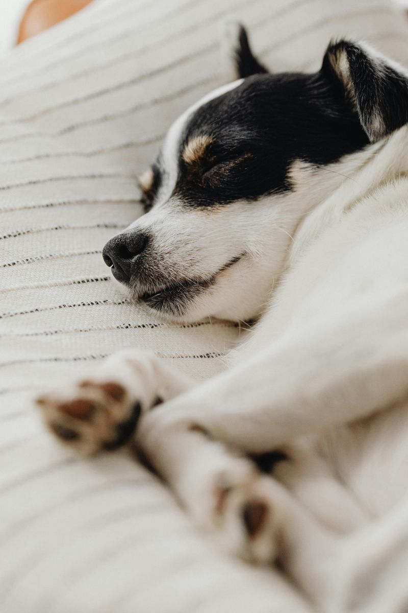 Comfortable sleeping habits