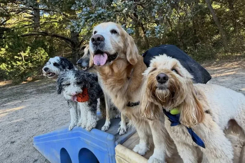 Skipping Social Exposure