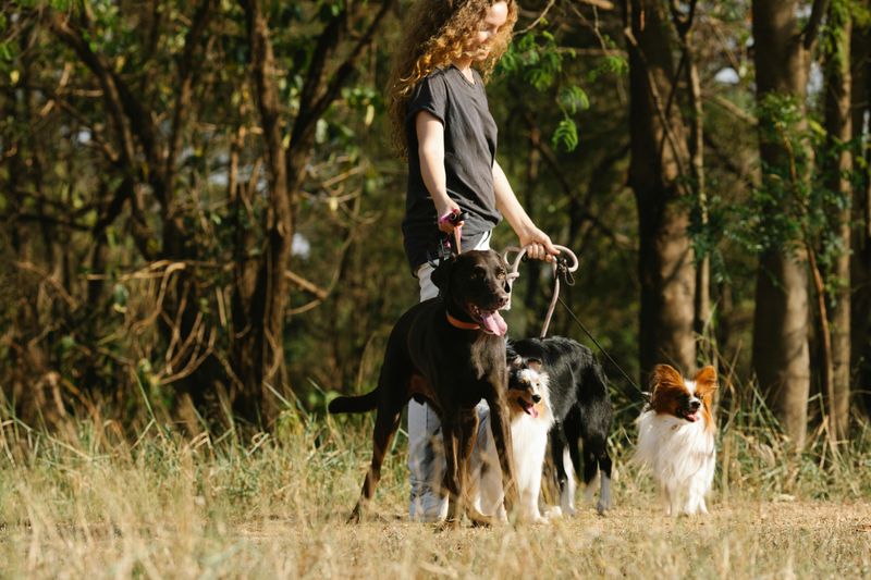 If walks feel stressful, one of these 11 mistakes could be the reason 12 Expecting too much too soon