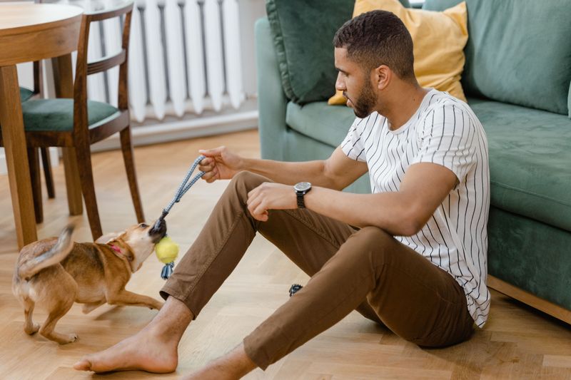 11 subtle signs your dog is deeply loyal - and 2 that have nothing to do with following you around 7 Brings favorite toys or objects to you