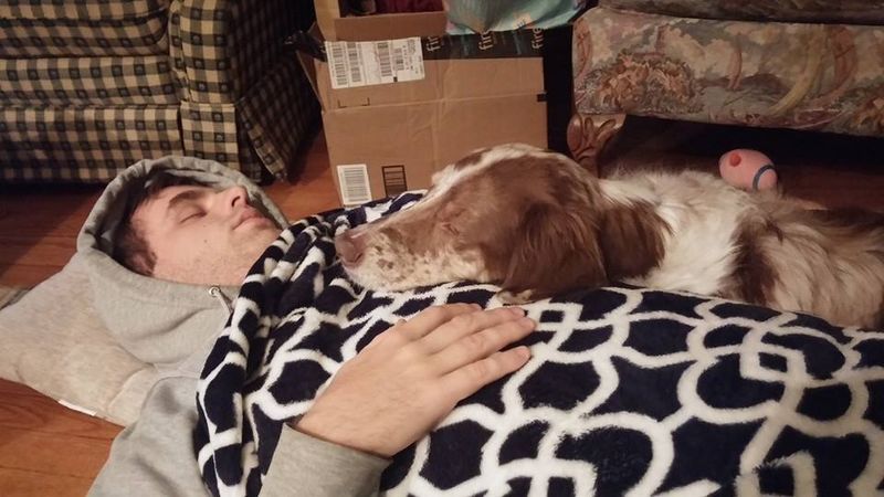17 Simple Gestures That Strengthen Your Bond with Your Dog 7 Letting Them Sleep Near You