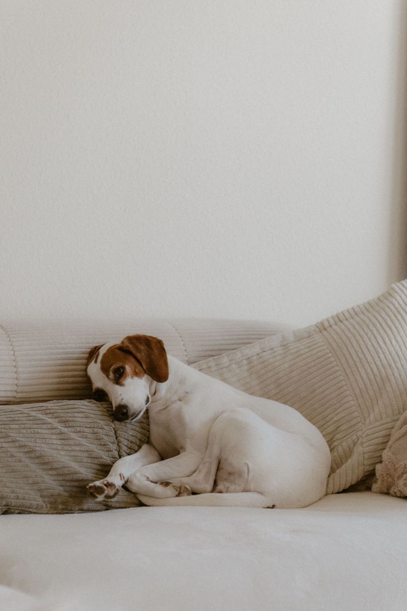 Maintains relaxed body language