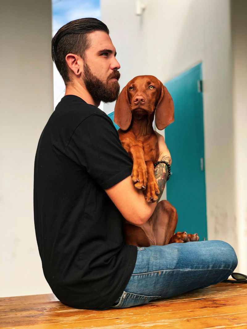 20 Human-Oriented Dog Breeds That Thrive on Close Companionship 15 Vizsla