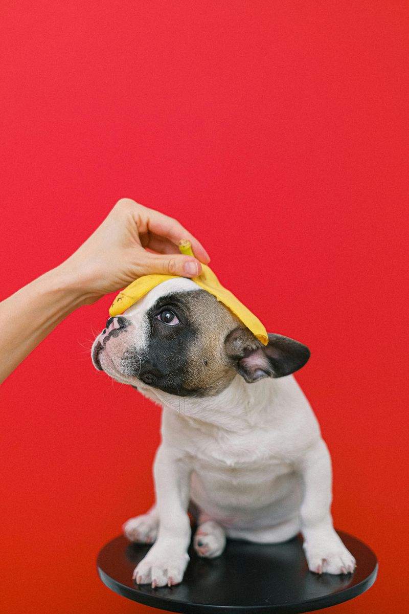 Bananas