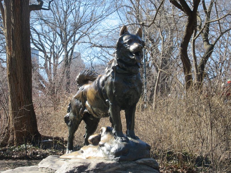 20 Famous Dogs Remembered for Bravery, Loyalty, and Service 3 Balto