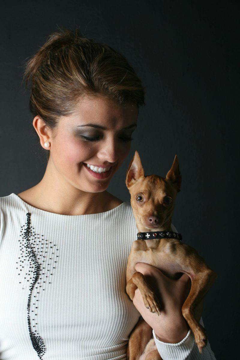 29 Small Dog Breeds That Form Especially Close Bonds with Their Owners 23 Miniature Pinscher