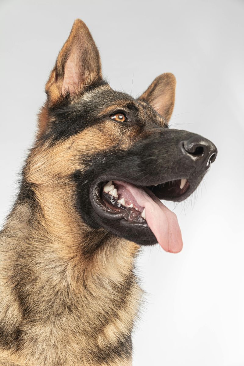 Strong Protective Tendencies