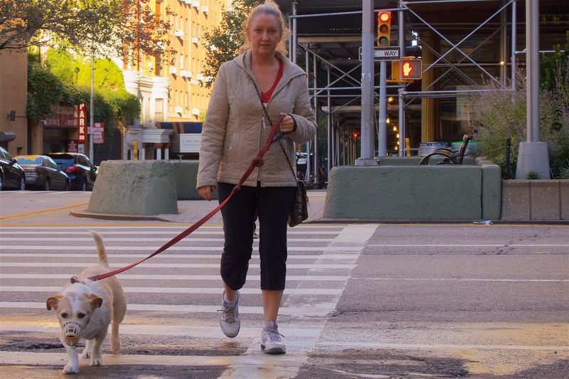 15 Quiet and Remarkably Subtle Ways Dogs Watch Over and Care for Their Humans 6 Slowing their pace when they sense you’re unwell