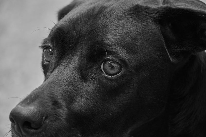 Staring intensely at others