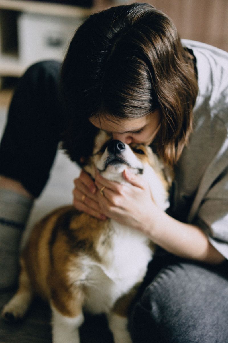 These 14 scents reveal just how extraordinary a dog's nose really is 15 Individual human scent signatures