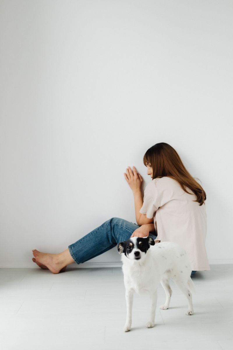 These 14 scents reveal just how extraordinary a dog's nose really is 2 Human stress hormones