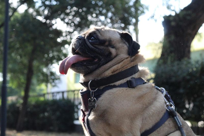 Subtle Weight Gain Despite Normal Feeding