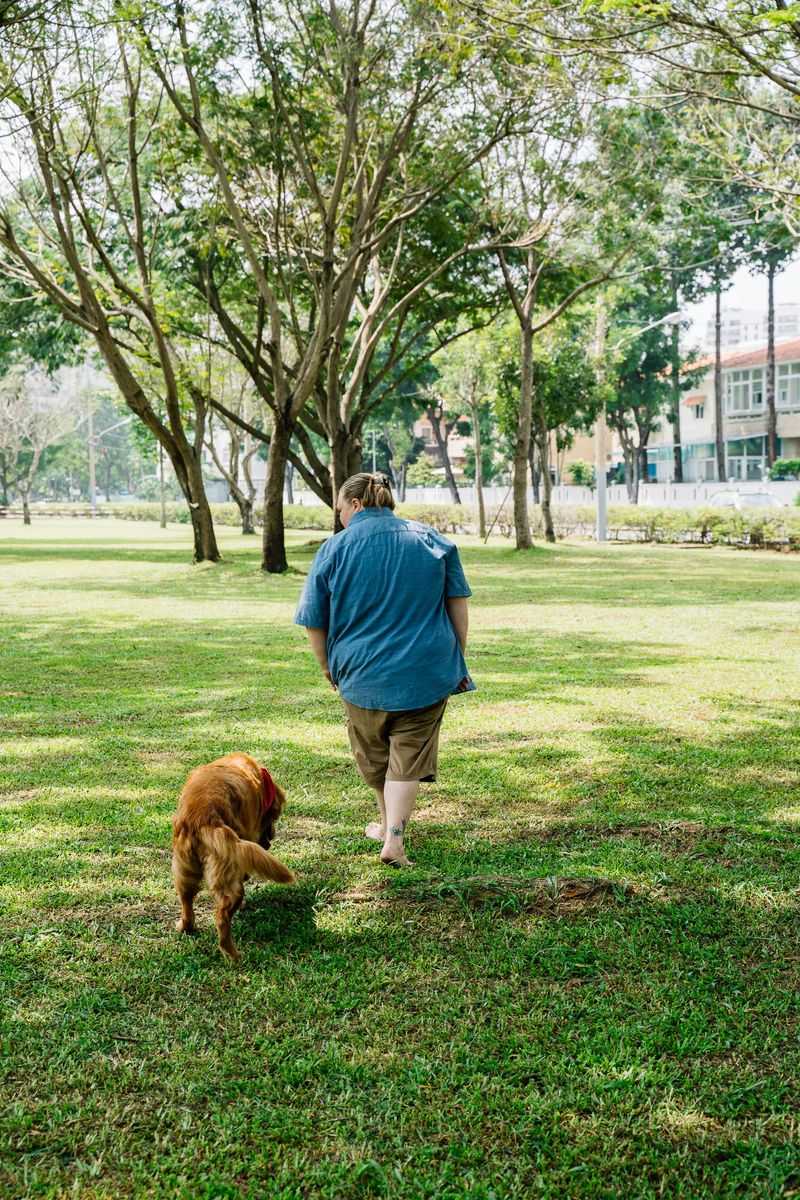 10 practical tips owners use to calm barking and restore peace 9 Reduce boredom during alone time