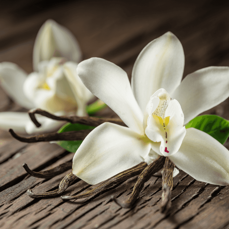 Vanilla