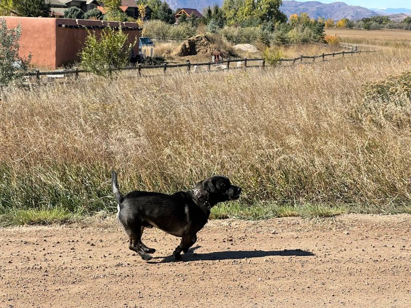 Check Your Immediate Area