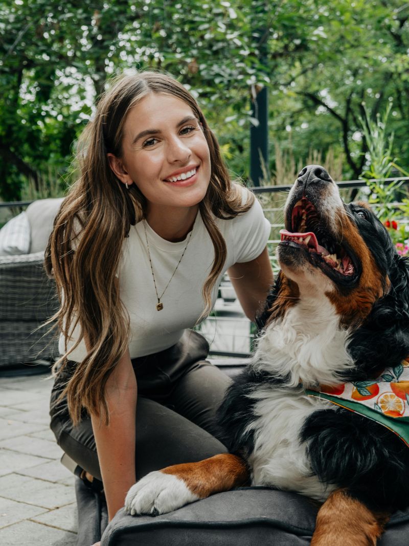 27 Dog Breeds That Prefer People Over Other Dogs 27 Bernese Mountain Dog