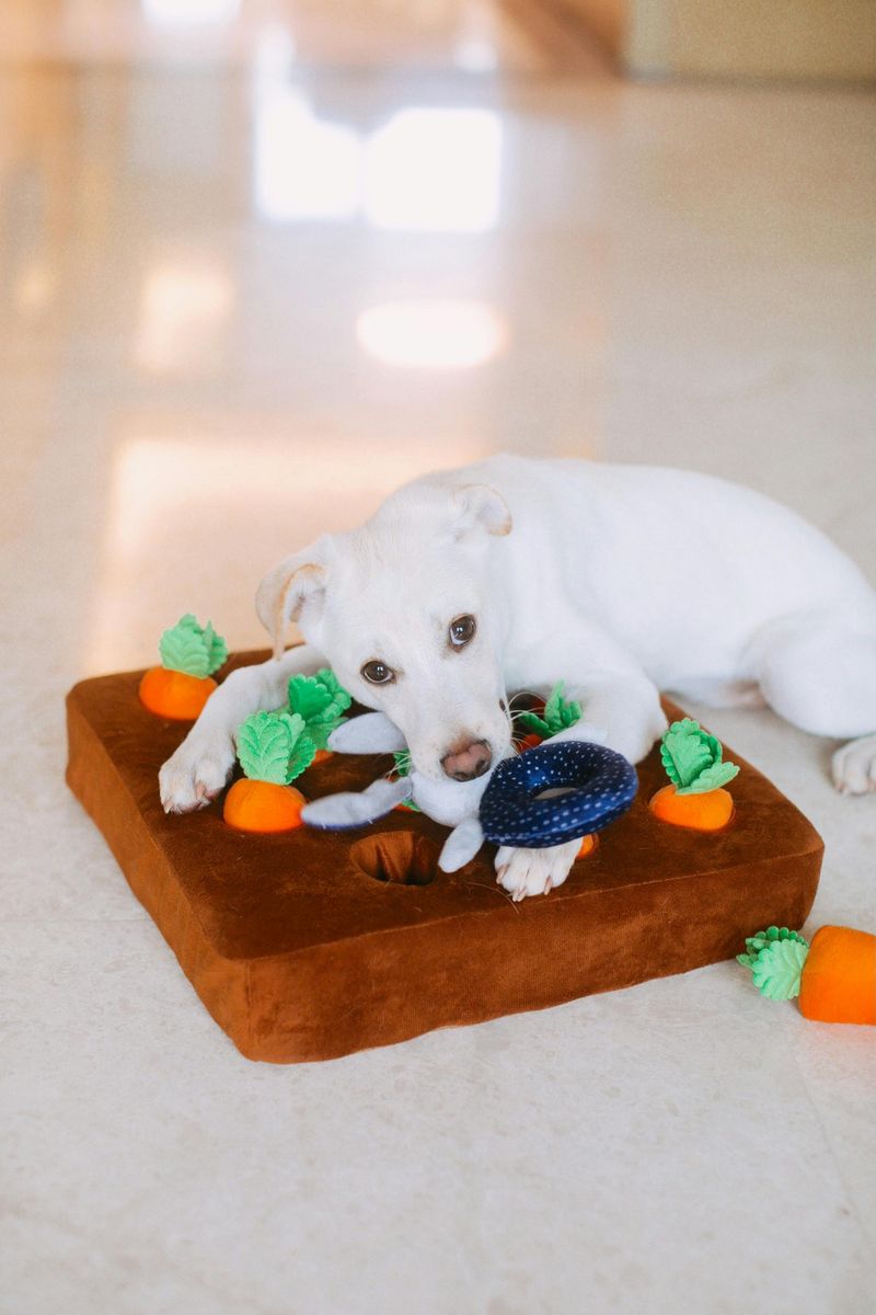 These 15 Dog Toys Can Boost Brain Power, According to Vets 5 Level-Up Sliding Tile Puzzle
