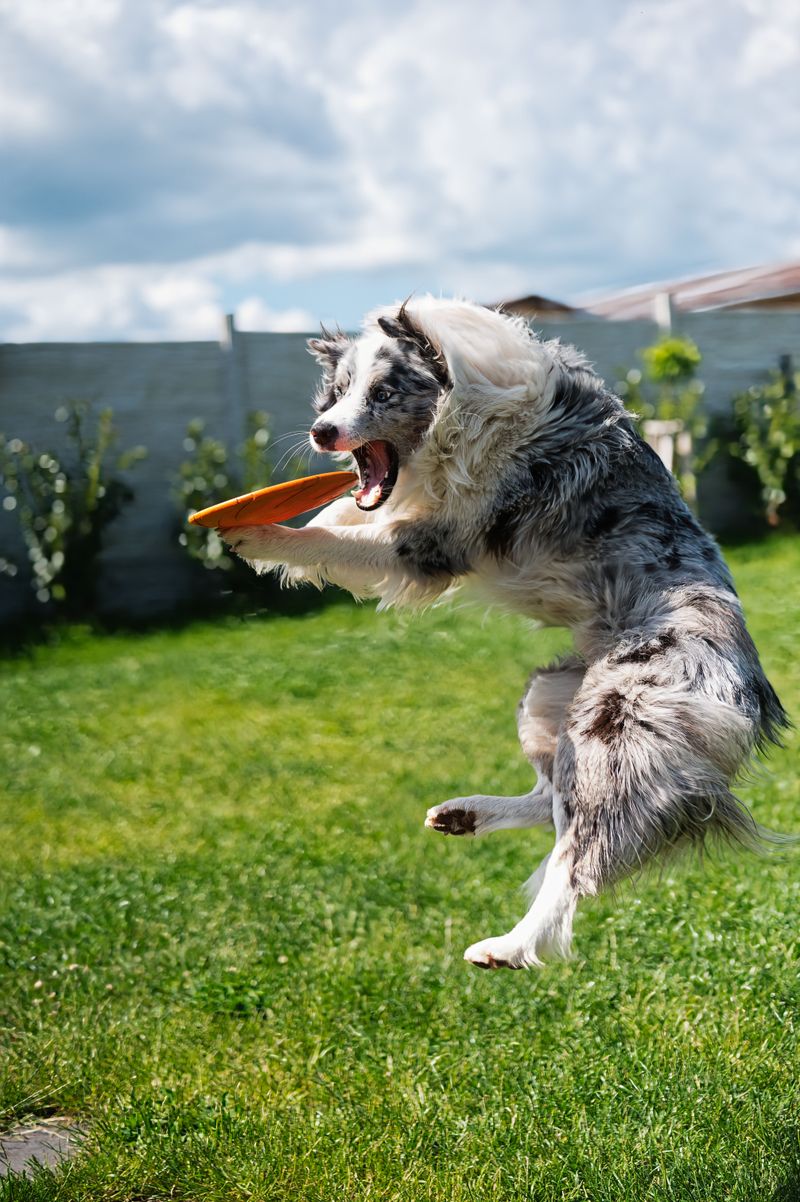 Avoiding constant overstimulation