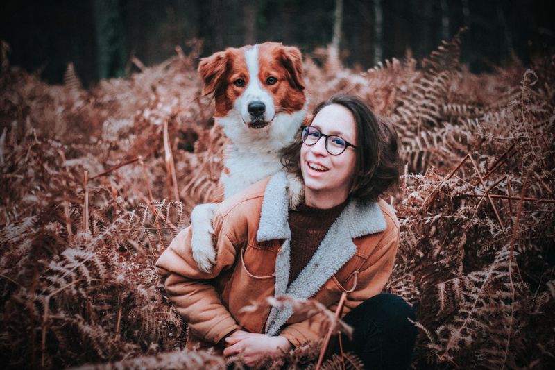 Think your dog has forgotten you're on a walk? Its nose may simply have found a story you can't access 12 Brittany - Feather-tailed plot finder