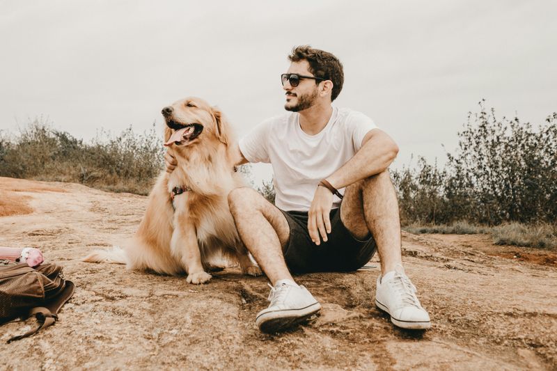 10 deeply attached dog breeds that stay glued to their humans constantly 4 Golden Retriever