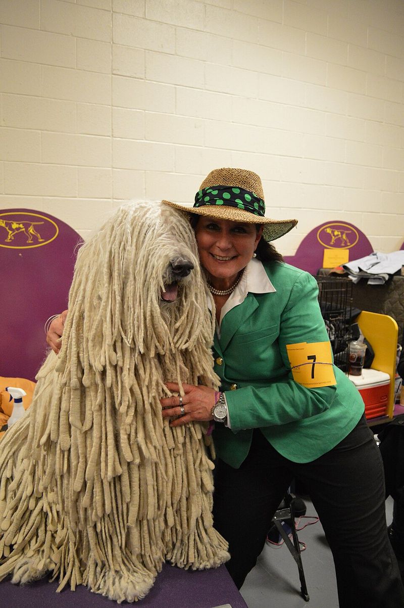 Komondor