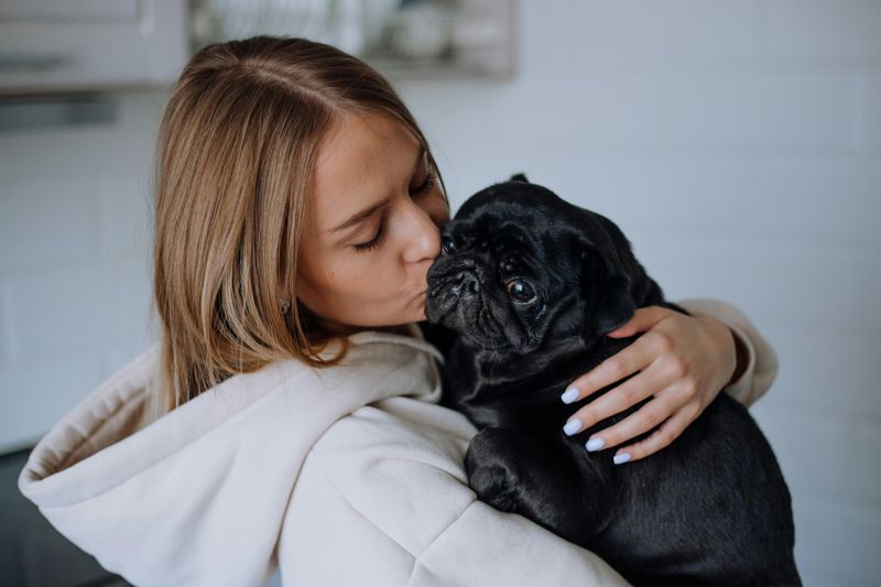 Pug