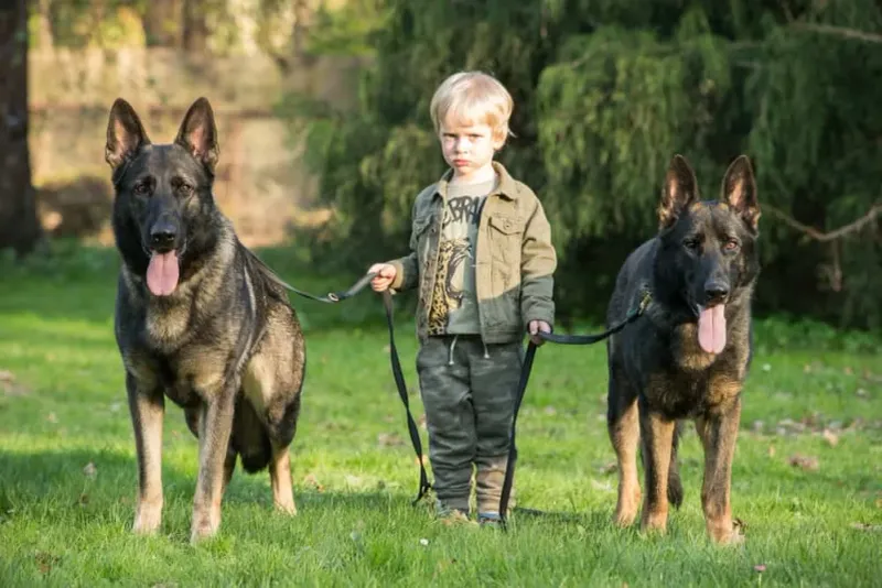 Standing between you and perceived threats
