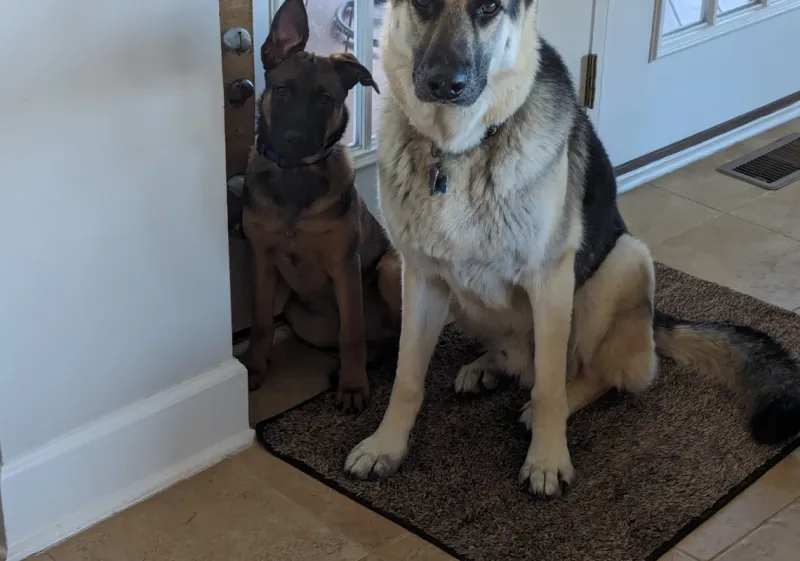 Sitting on your belongings